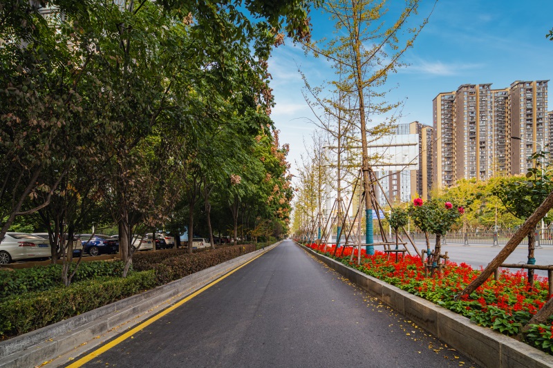 香港挂挂牌图库