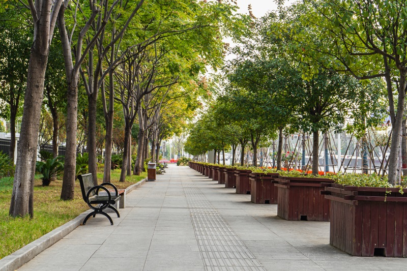 香港挂挂牌图库