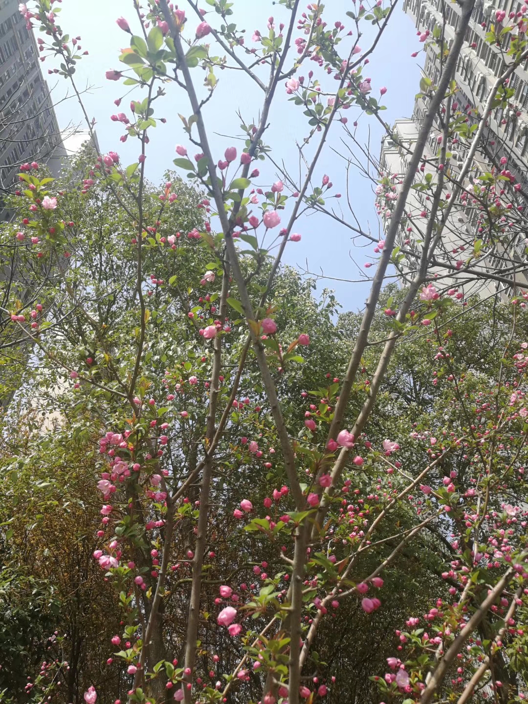 香港挂挂牌图库
